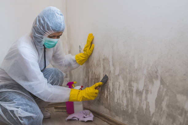 Water Damage Restoration in Henrietta, TX