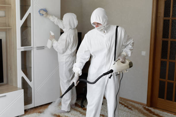 Best Crawl Space Mold Removal  in Henrietta, TX