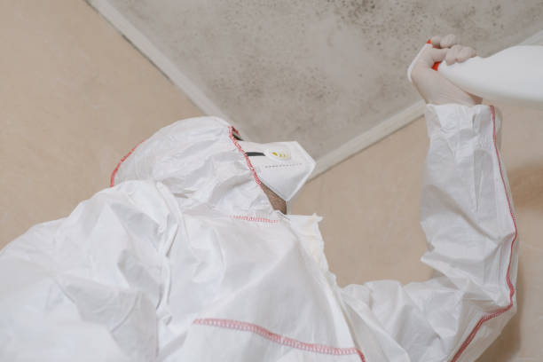 Best Office Mold Removal Services  in Henrietta, TX