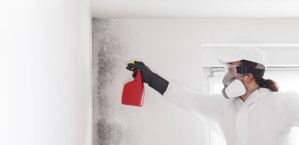 Best Office Mold Removal Services  in Henrietta, TX