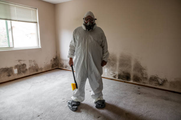 Best Toxic Mold Removal  in Henrietta, TX